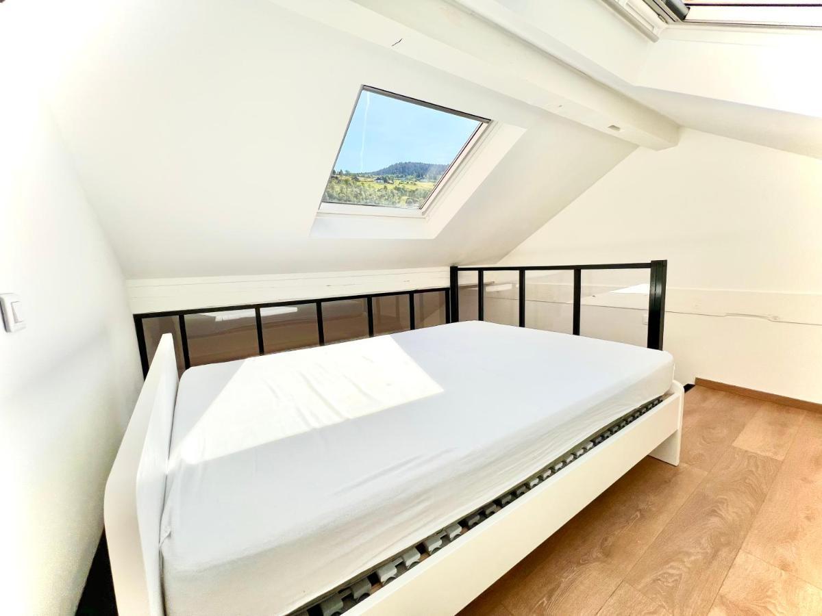 Ma Montagne Chic Apartman La Bresse Kültér fotó